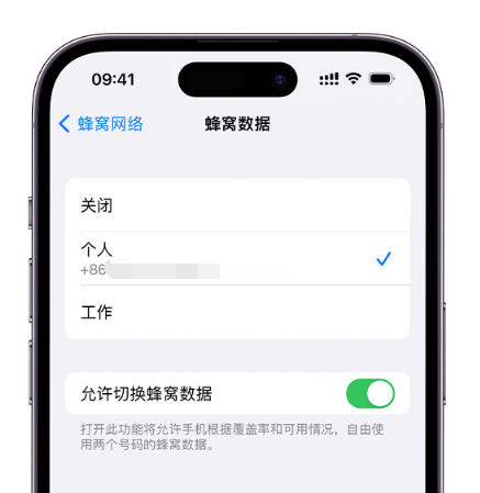 宜春苹果维修服务分享如何在iPhone上使用双卡 